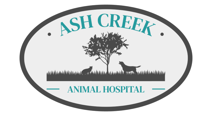 Ash Creek Animal Hospital